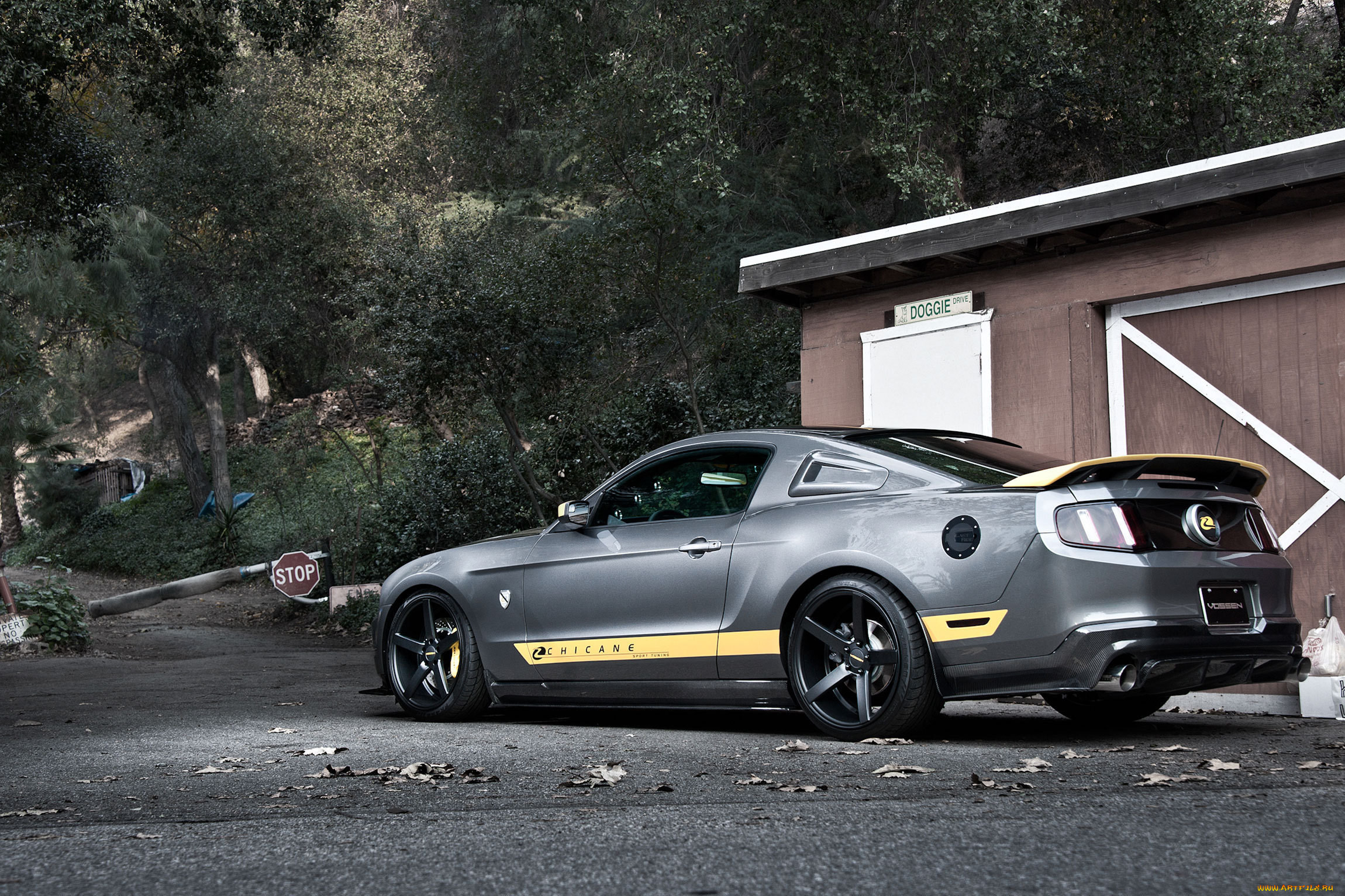 , mustang